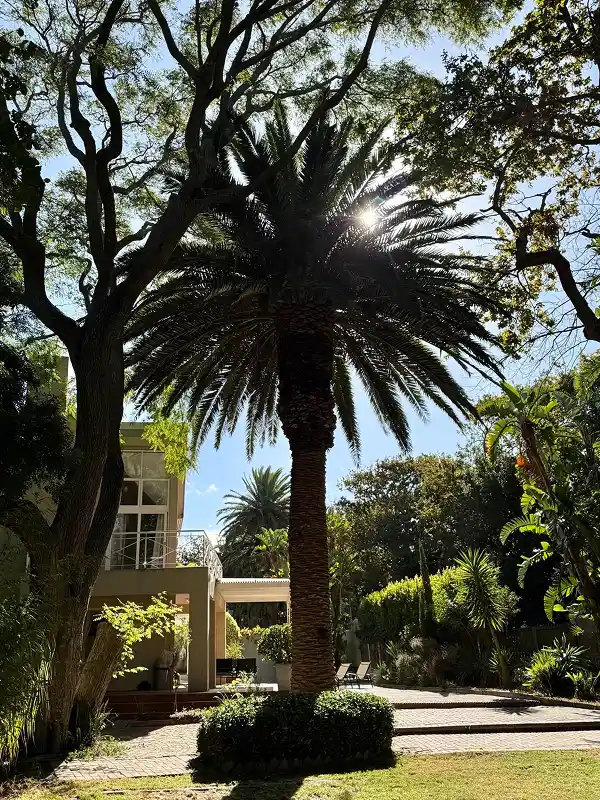 trees