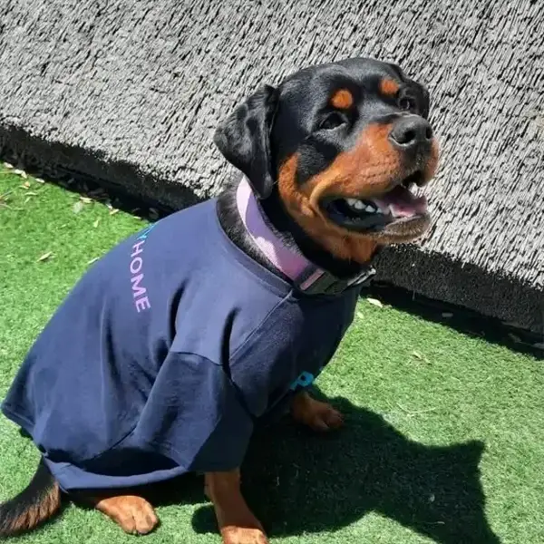 Gigi