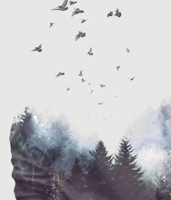 liberty-mental-health-man-beard-beardcut-page